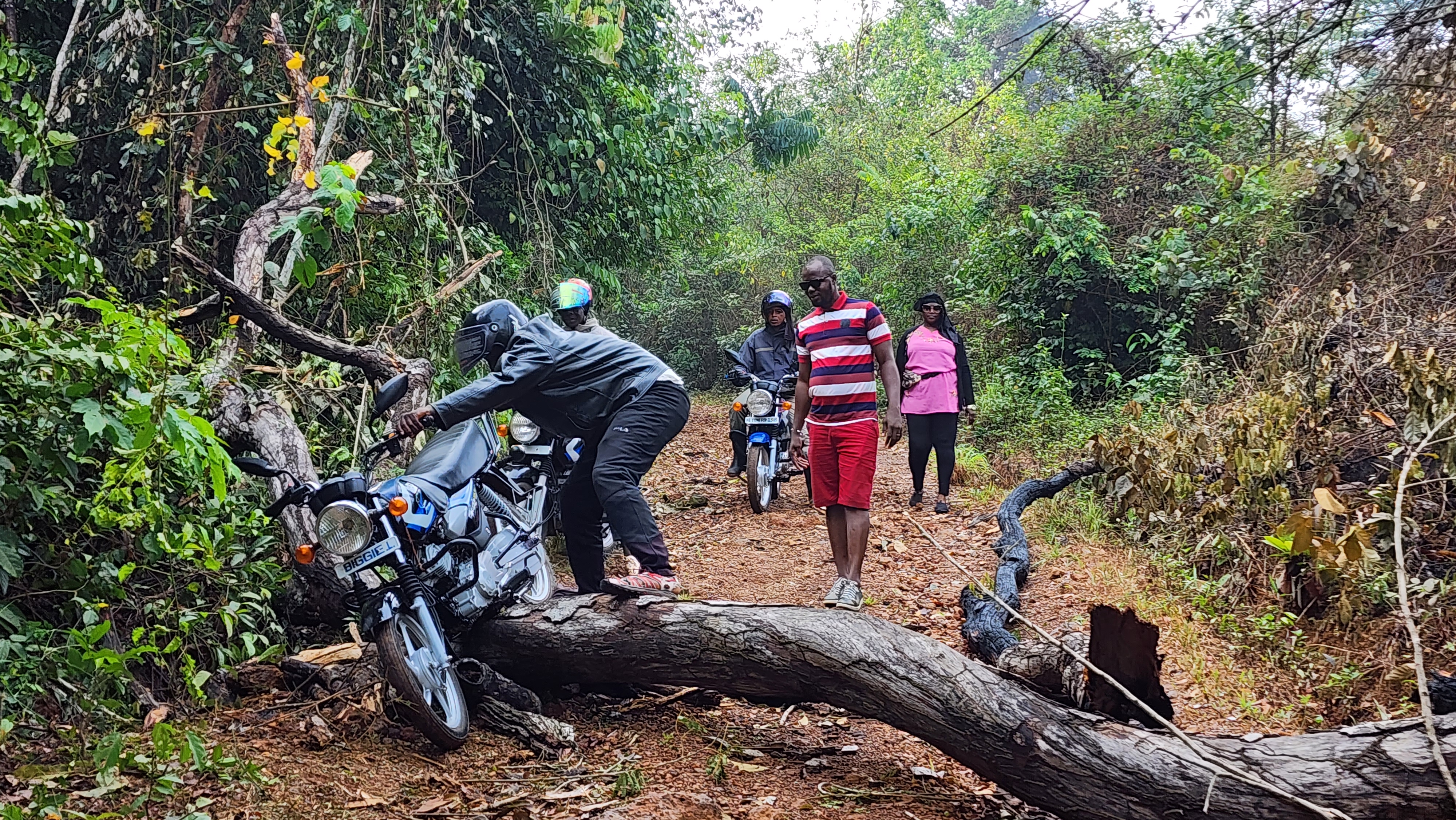 Team Southeast, fieldwork supervision.